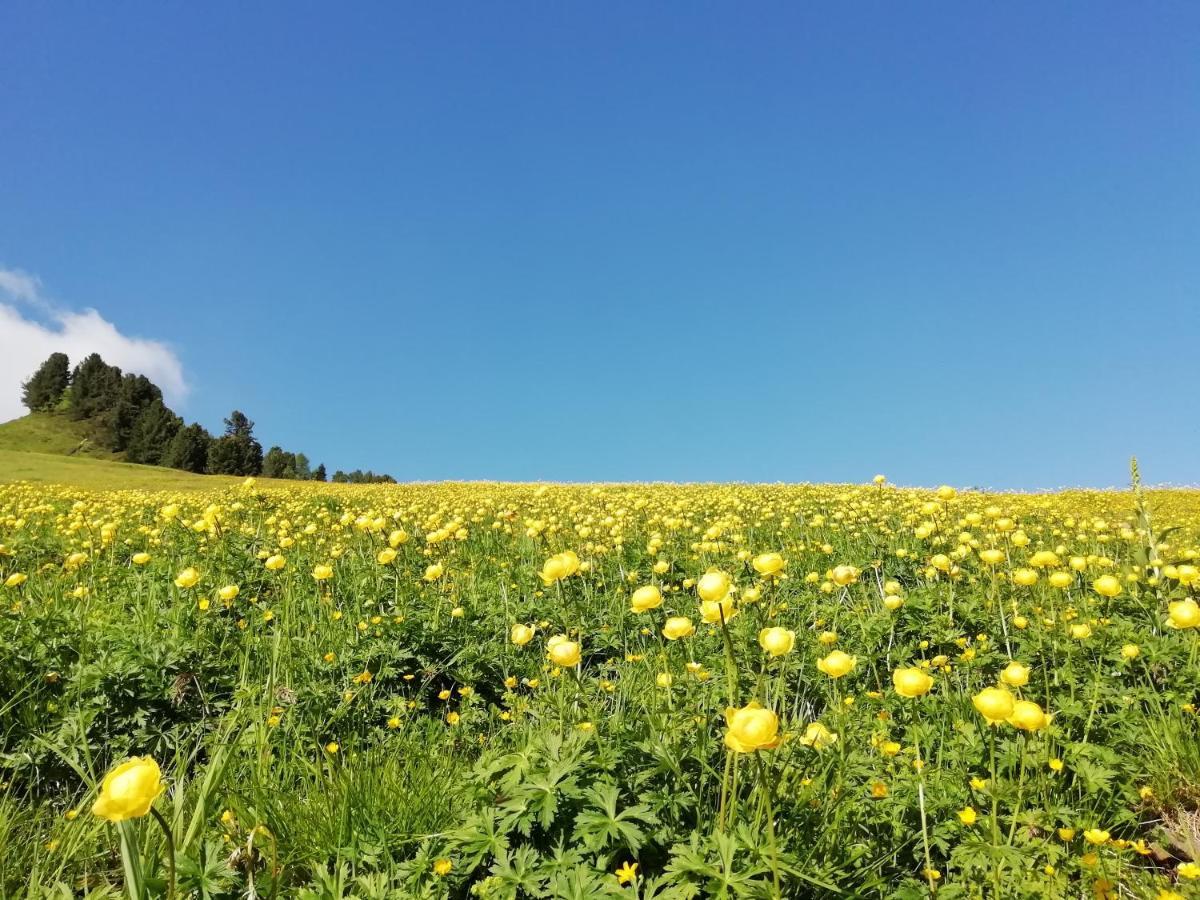 Dolomites B&B - Suites, Apartments And Spa Tesero Buitenkant foto