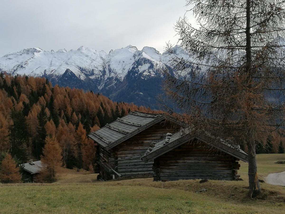 Dolomites B&B - Suites, Apartments And Spa Tesero Buitenkant foto