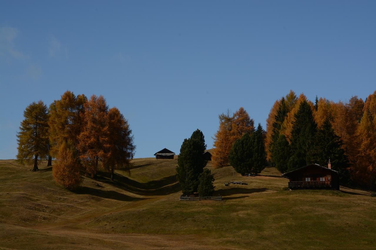 Dolomites B&B - Suites, Apartments And Spa Tesero Buitenkant foto